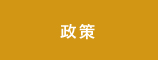 政策